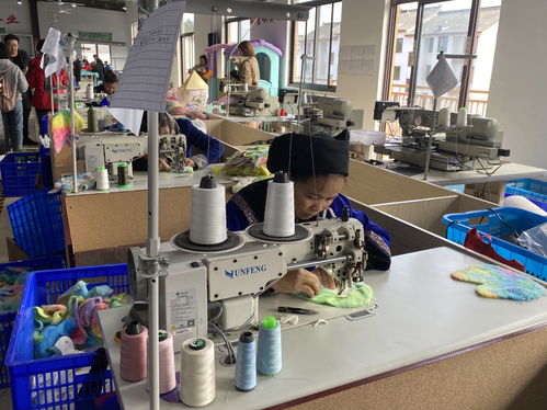 貴州水繡霓裳企業(yè)助推 民族文化 脫貧攻堅